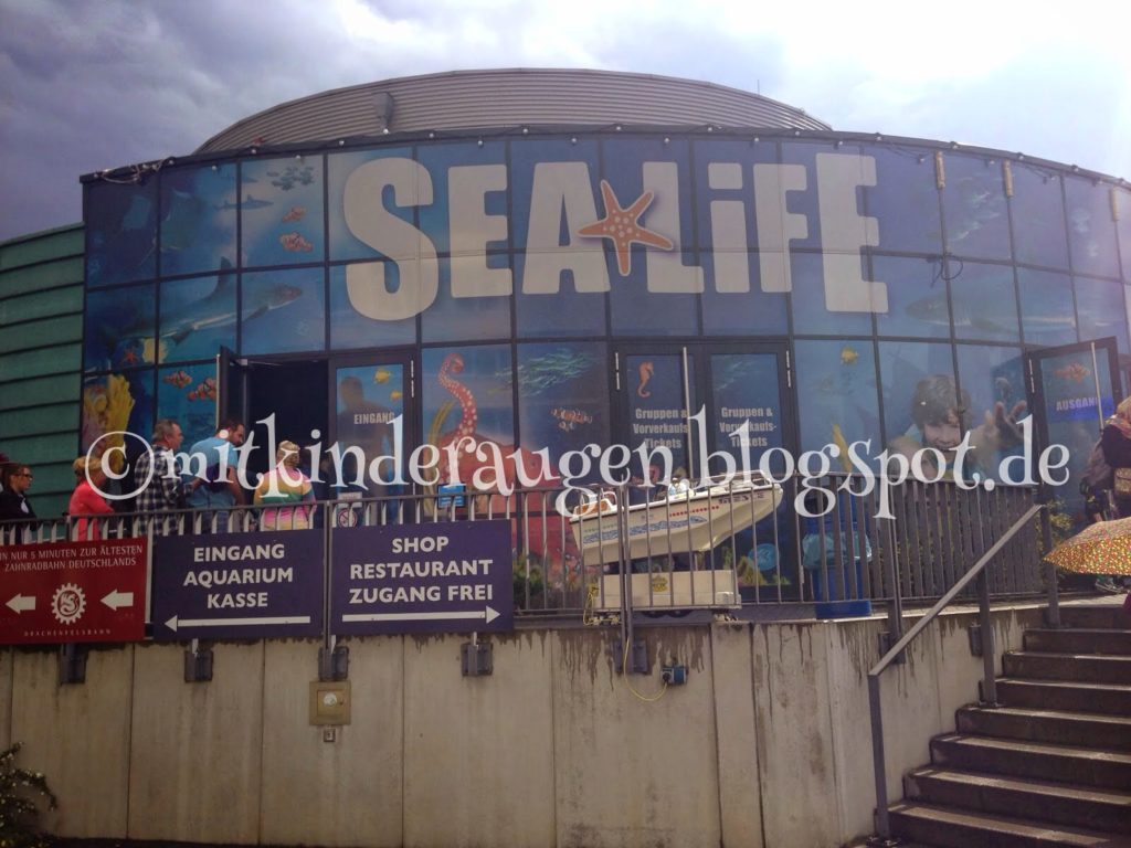 Unser Ausflug zum Sea Life in Königswinter - Mit Kinderaugen ...