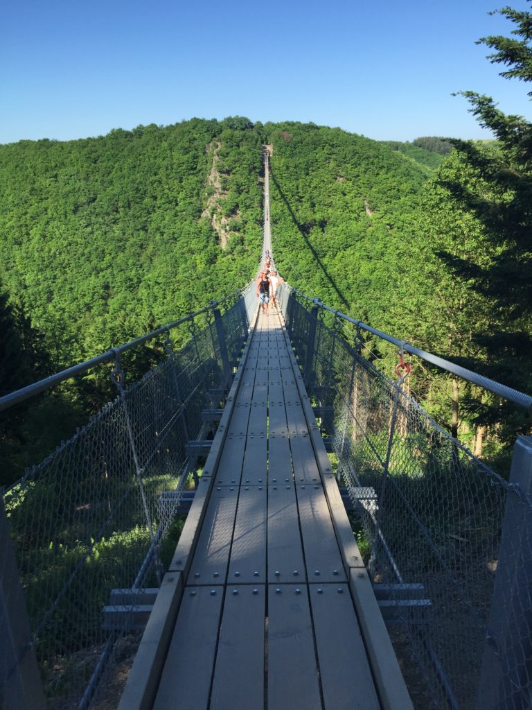 rheinland pfalz ausflugstipp: Geierlay Hängebrücke