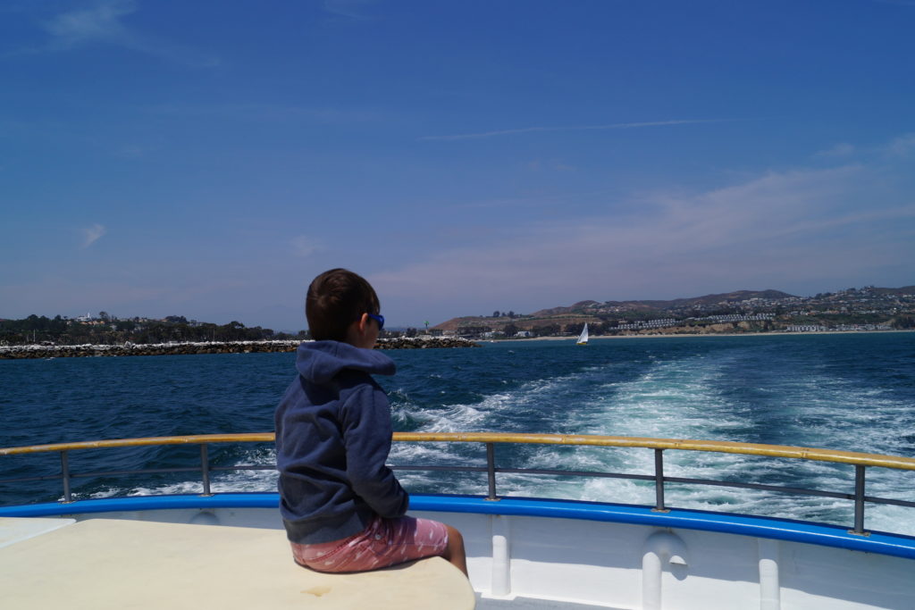 Whale watching in Dana Point, Kalifornien