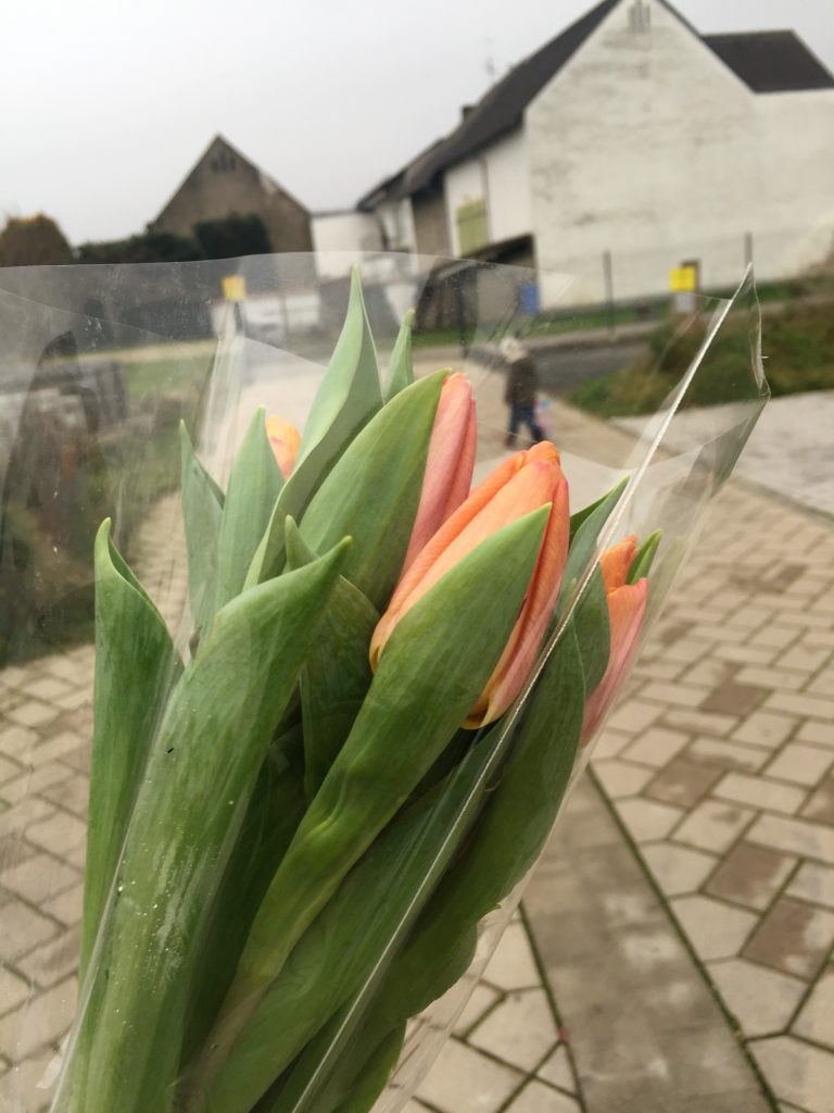 Mit Tulpen zu einer freundin 