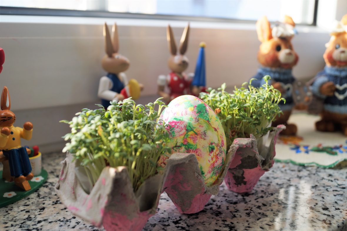 Rucki zucki DIY für Ostern: Ostereier Kresse Nester - Mit Kinderaugen ...