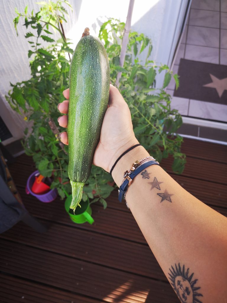 Urban Gardening: Zucchini aus dem eigenen Garten