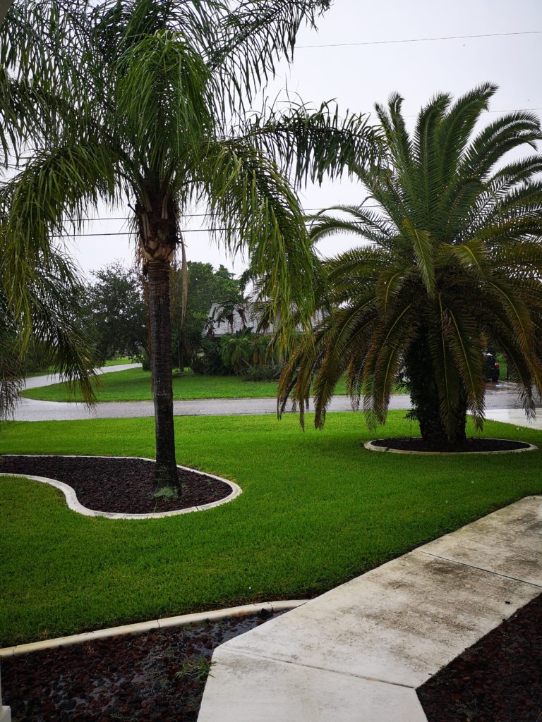 Regenschauer gehören im Juli und August in Florida mit dazu