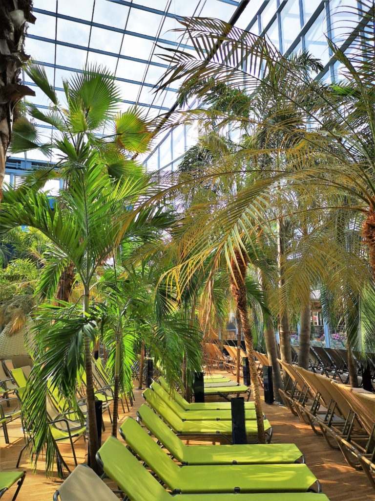 Entspannen unter Palmen in der Therme Erding