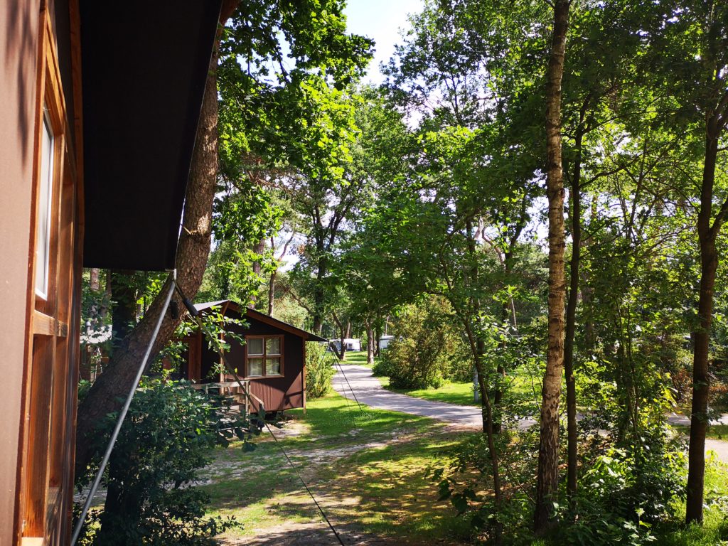 Blick von der Terrasse der Youpi! Lodge auf dem Beerze Bulten Campingplatz