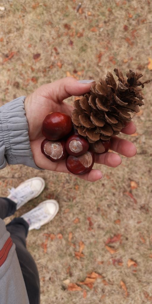 Der Herbst steht vor der Tür