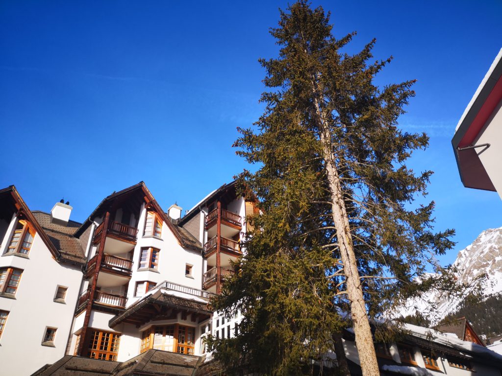 hotel schweizerhof in lenzerheide