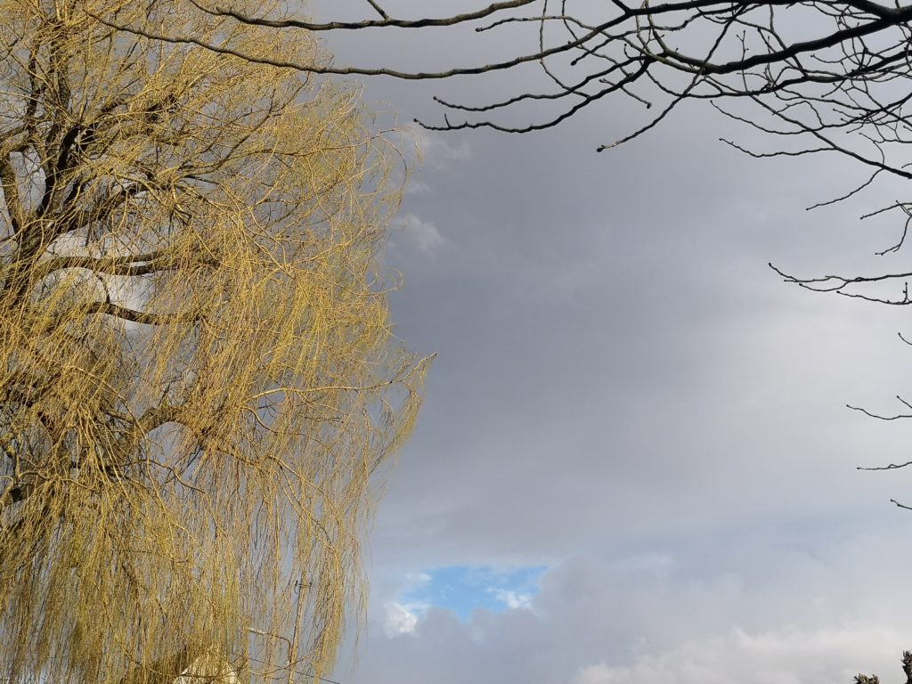 der frühling steht vor der tür