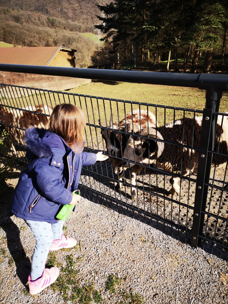 Kinder wollen die Welt entdecken