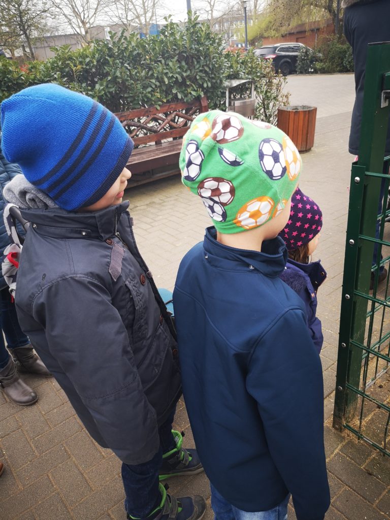 für kinder gibt es auf dem gertrudenhof viel zu sehen