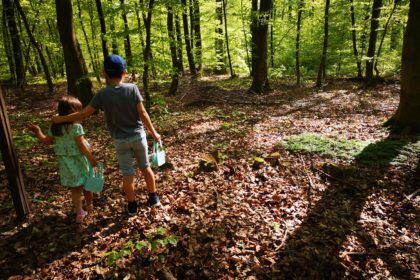 ostergeschenke im wald suchen