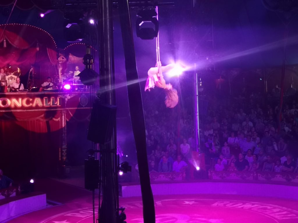 waghalsig und einzigartig: die shows im roncalli circus