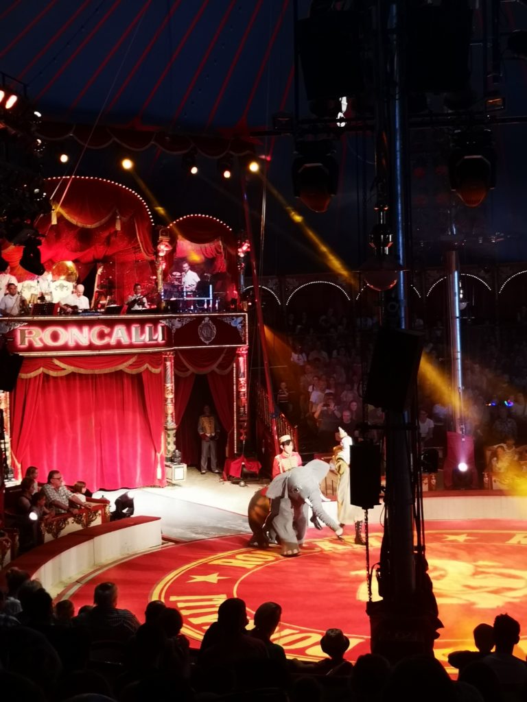 im roncalli circus gibt es keine echten tiere