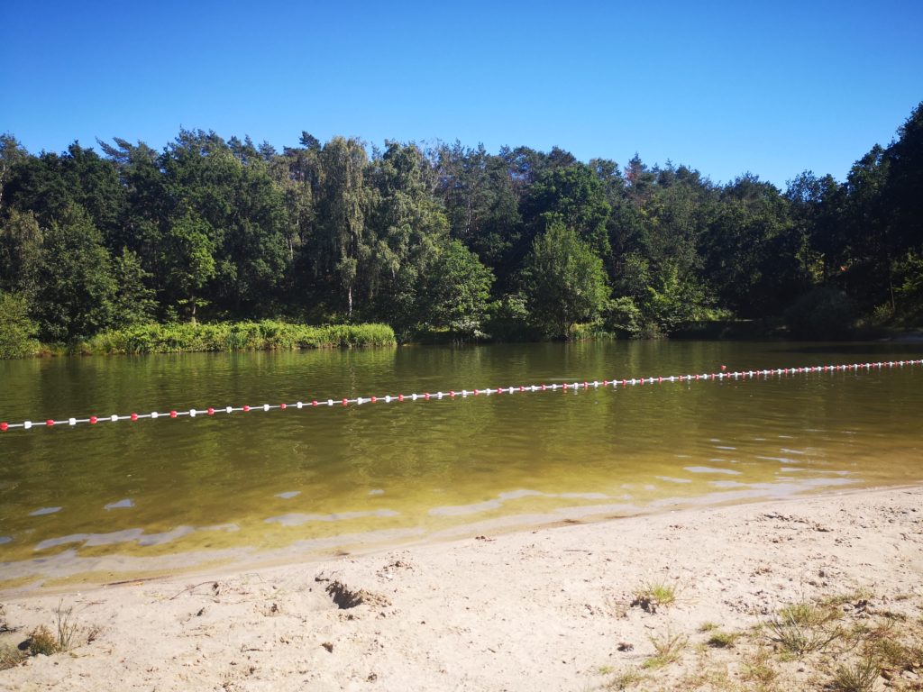 natursee zum baden im ferienpark droompark maasduinen