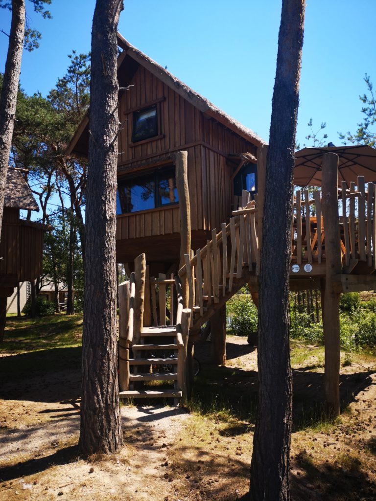 übernachten im baumhaus in beekse bergen