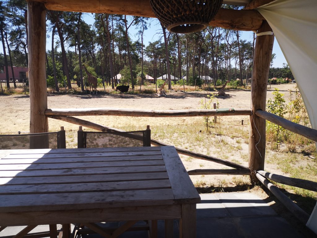 von der terrasse tiere beobachten in beekse bergen