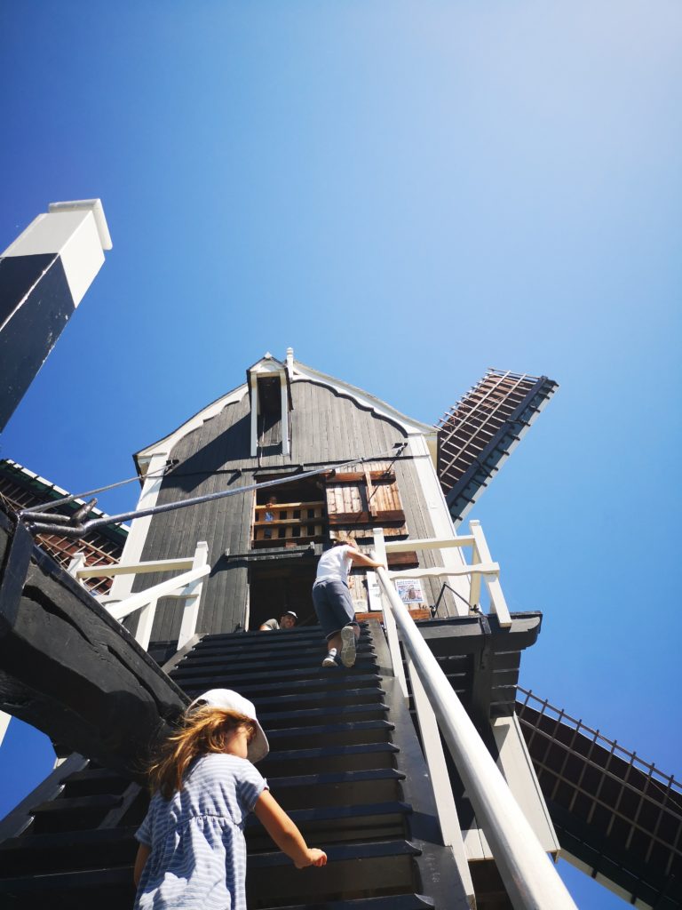 windmühlen entdecken in heusden