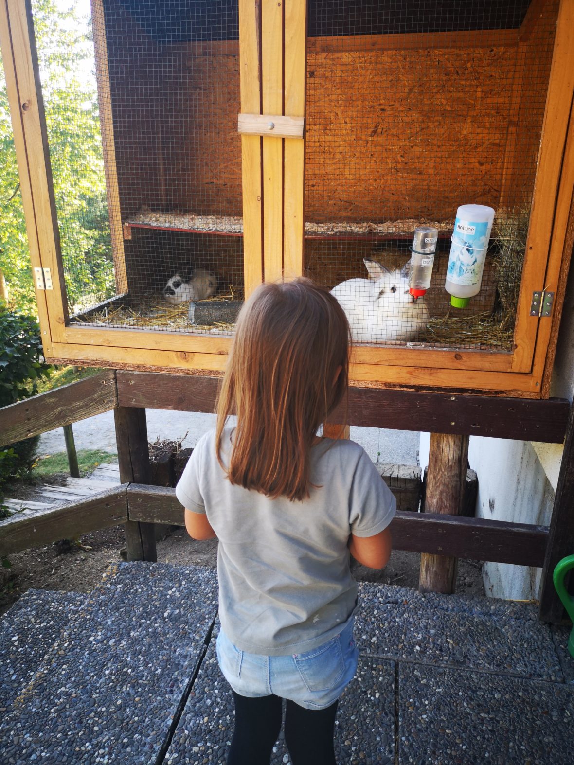 toll für kinder ist der wild- und freizeitpark in gackenbach