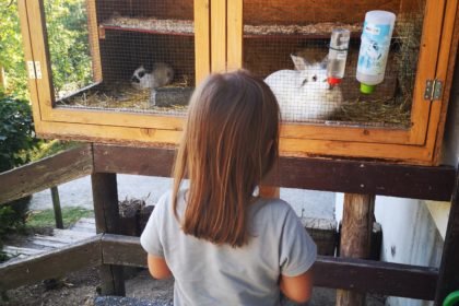 toll für kinder ist der wild- und freizeitpark in gackenbach