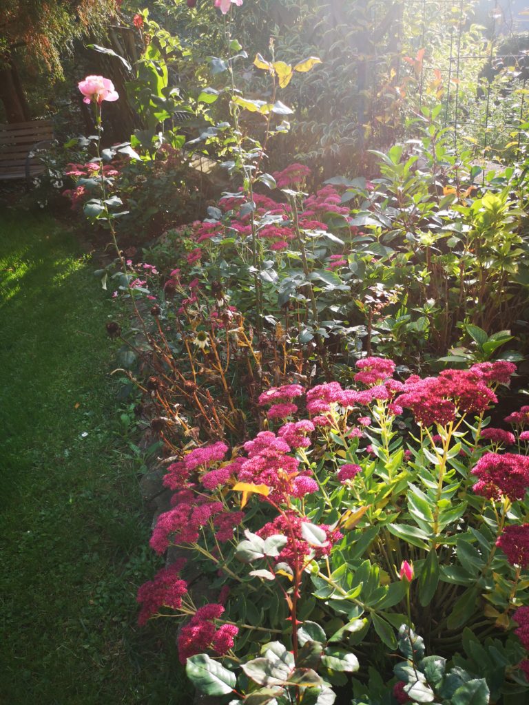 den garten im herbst genießen