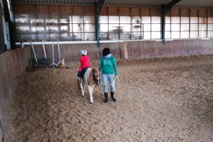 reitstunde auf dem reiterhof