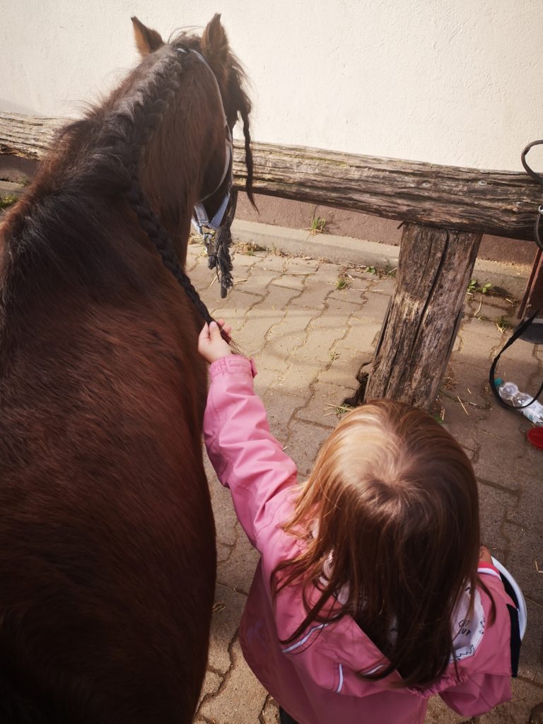 ppny reiten am wochenende