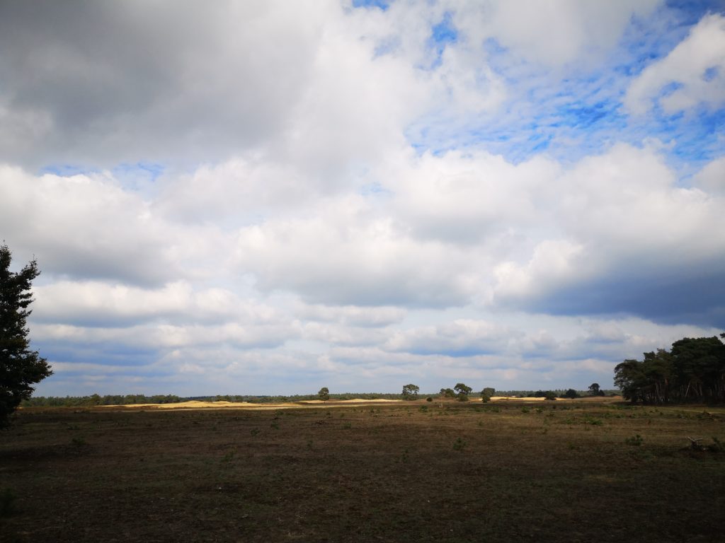 Nationalpark De Hoge Veluwe