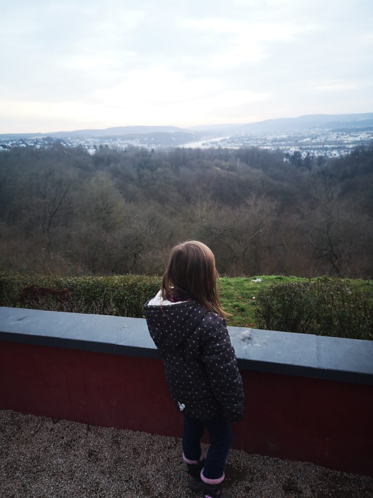 aussicht über koblenz