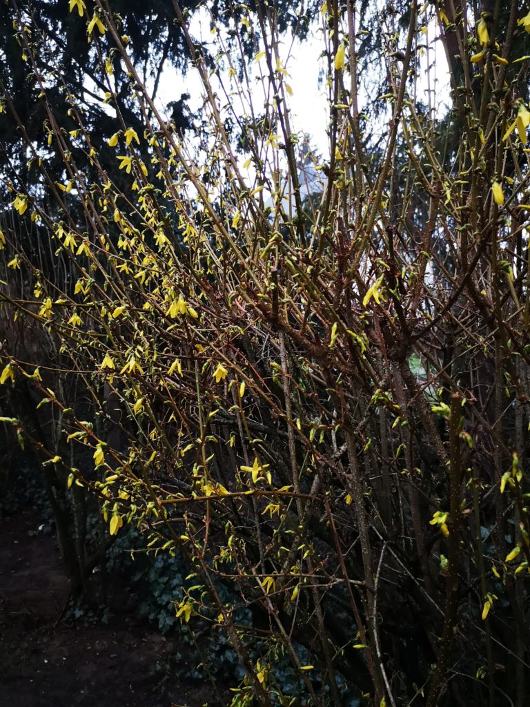 der frühling steht vor der tür