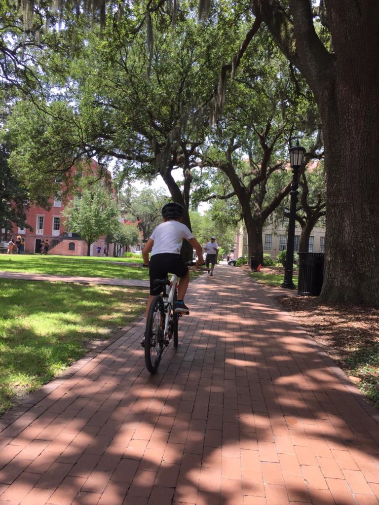 mit dem fahrrad durch savannah