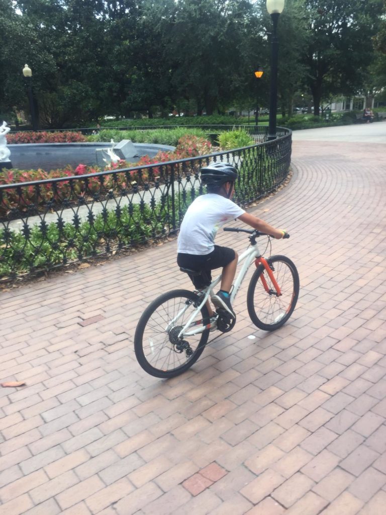 fahrradtour durch savannah mit kindern