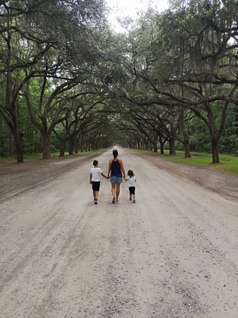 unter eichen entlang bei der wormsloe plantation