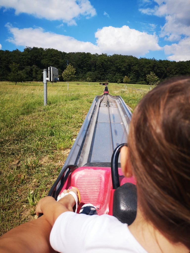 erst hoch und dann runter auf der sommerrodelbahn loreley bob