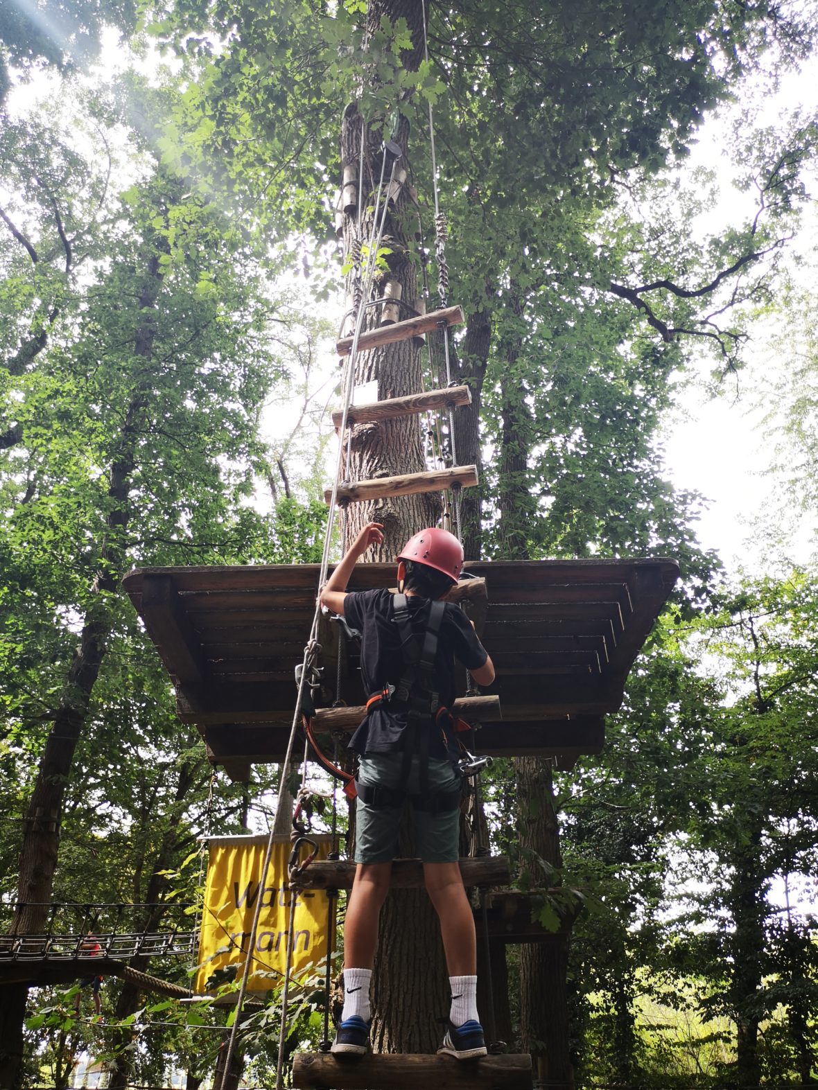 kletterspaß im kletterwald diez