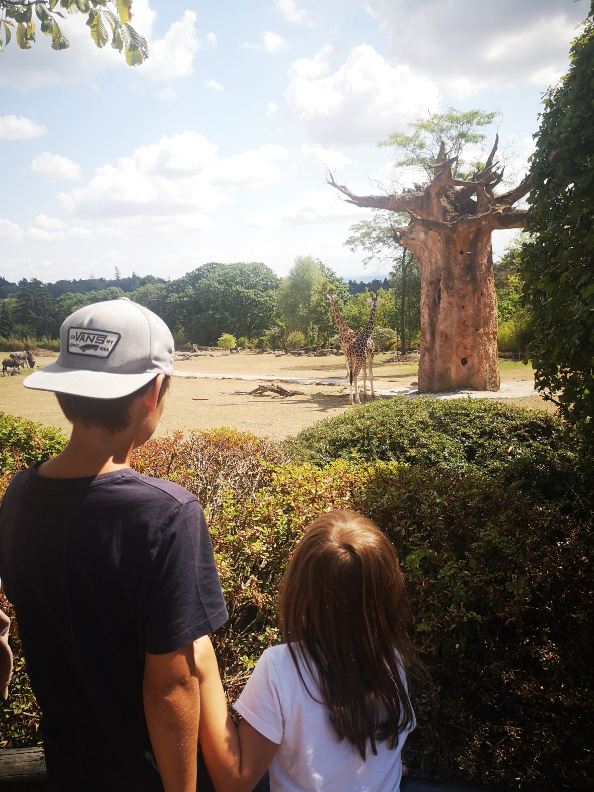 der opel-zoo im taunus