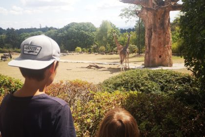 der opel-zoo im taunus