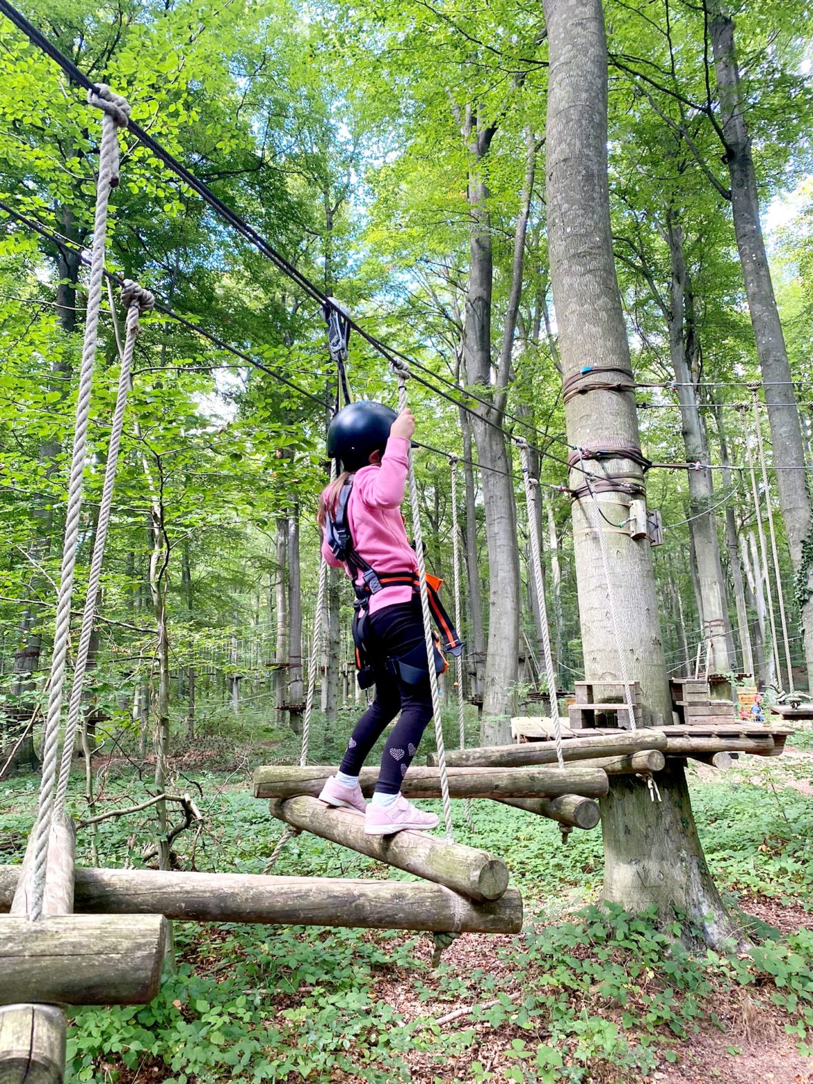 kletterwald vulkanpark