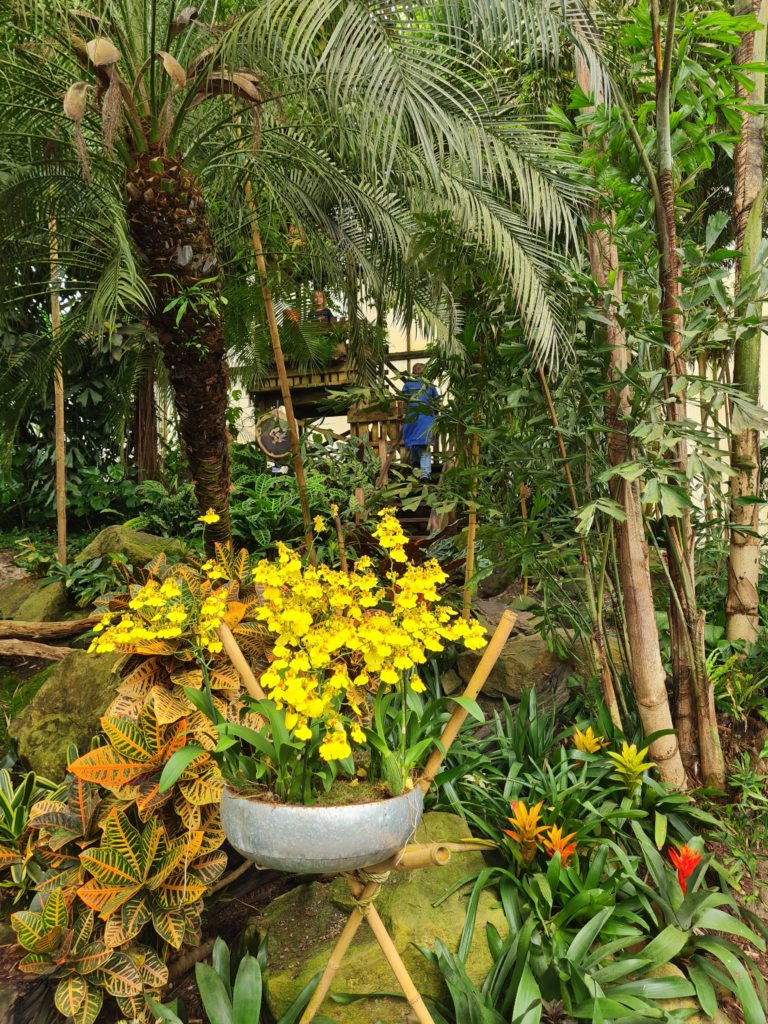 Junglepark De Orchideeënhoeve