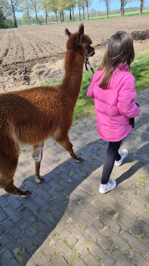 ausflugsziele in twente