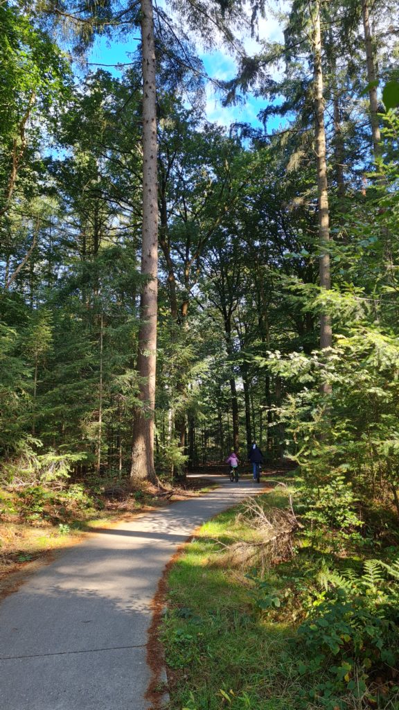 schöne wälder für fahrradtouren in der region veluwe