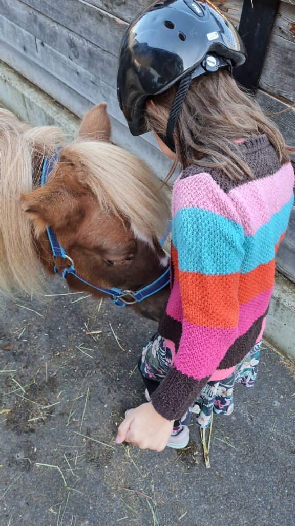 ausflug mit den ponys vom hotel stern