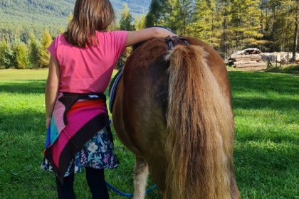 familienangebote im hotel stern