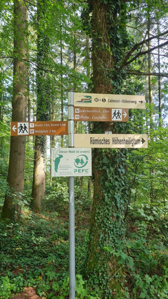 wanderung zum calmont-höhensteig