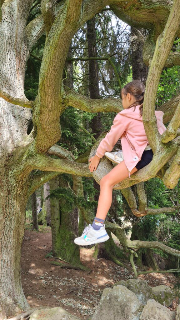 klettern im bergpark wilhelmshöhe in kassel