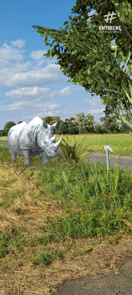 schwalm statt safari: nashorn in echt dank augmented reality