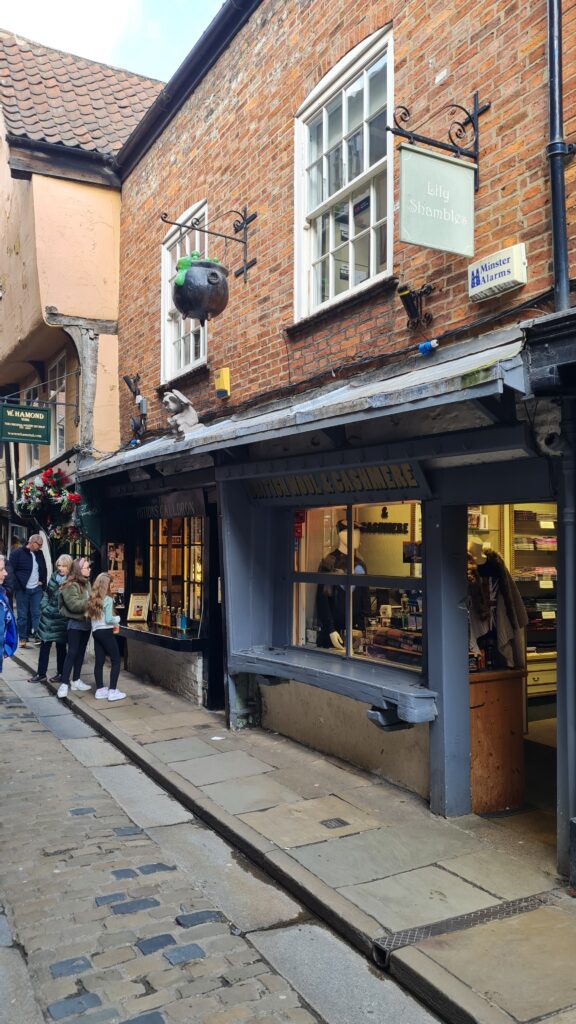 "The Potions Cauldron" Laden in York