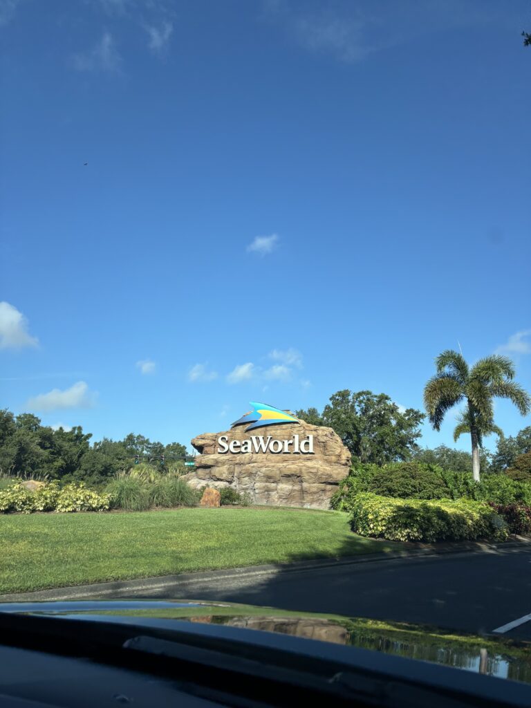 SeaWorld Orlando: Ein Muss für alle Achternbahn-Liebhaber