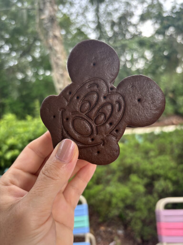 Sowohl Typhoon Lagoon als auch Blizzard Beach haben ihren ganz eigenen Zauber.